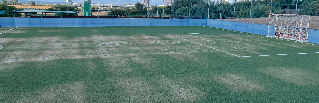 Campo Cesped Nuevo